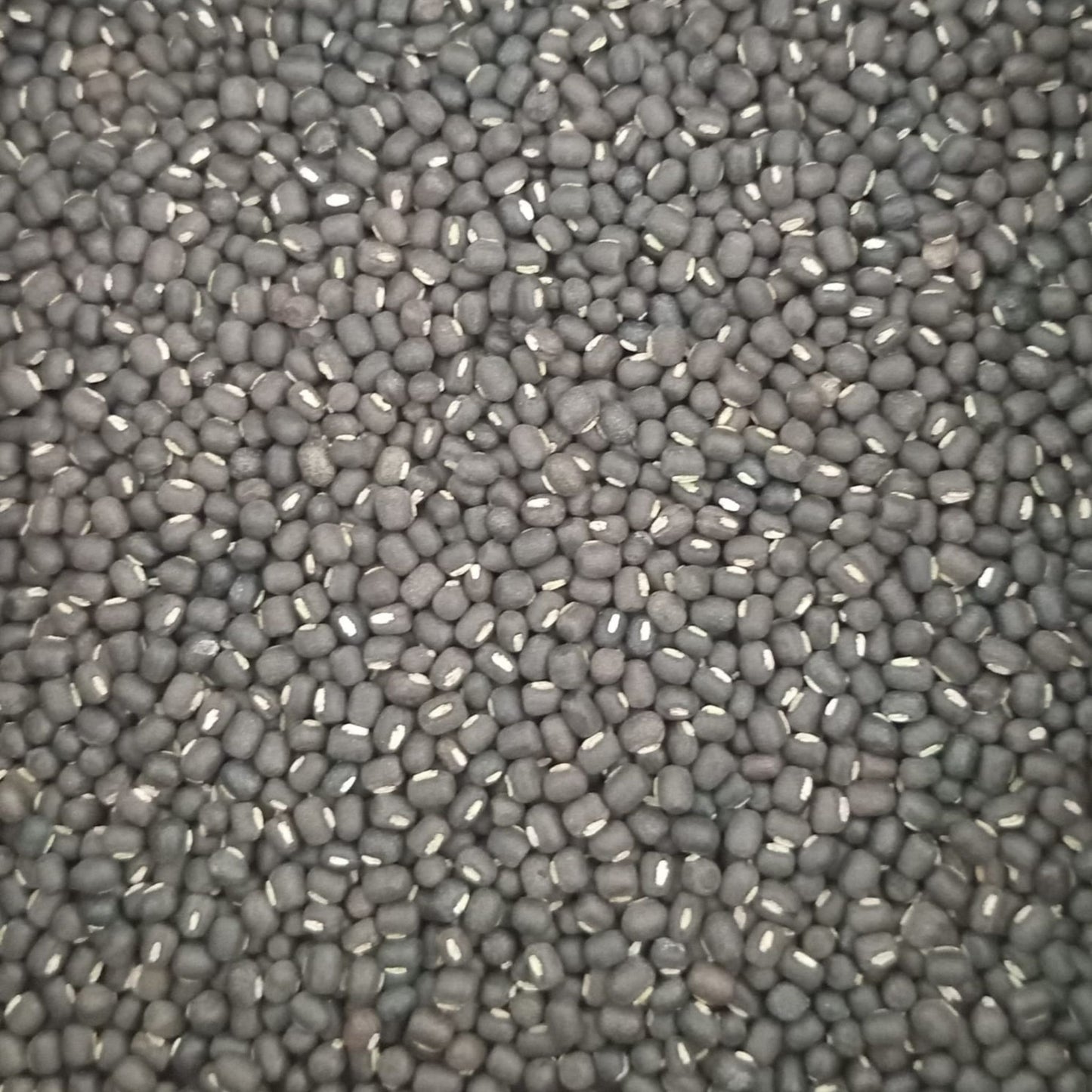 KCM Hyper Pulses, Whole Urad Dal (Black Gram), cleaned and unpolished black gram