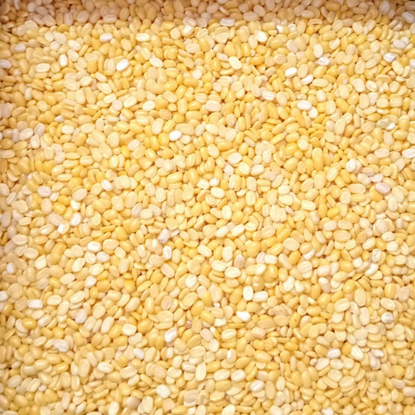 KCM Hyper, Yellow Moong Dal ‚¬€œ cleaned and split Indian moong dal grains
