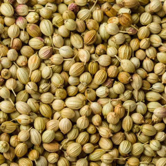 KCM Hyper, Coriander Seeds (Dhania) | Whole Indian Spice