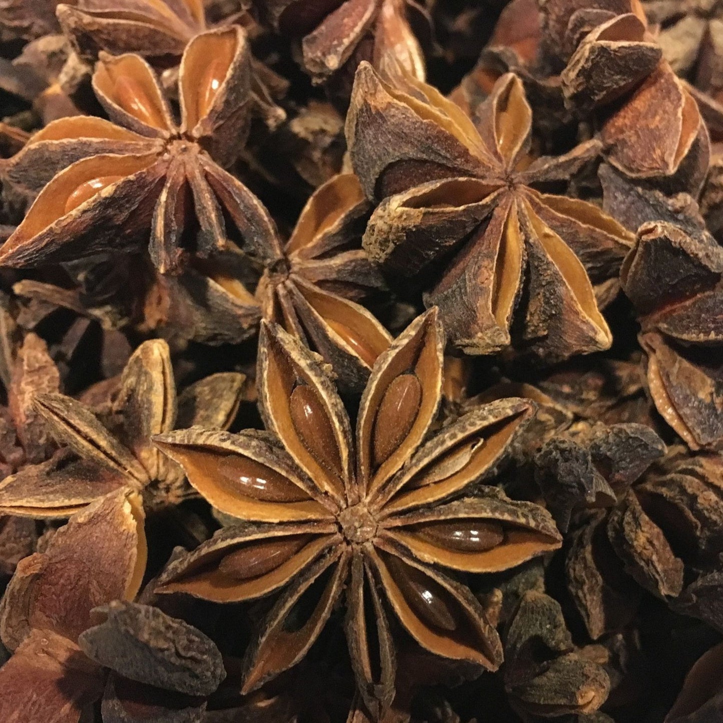 KCM Hyper, Star Anise (Chakri Phool) | Whole Aromatic Indian Spice