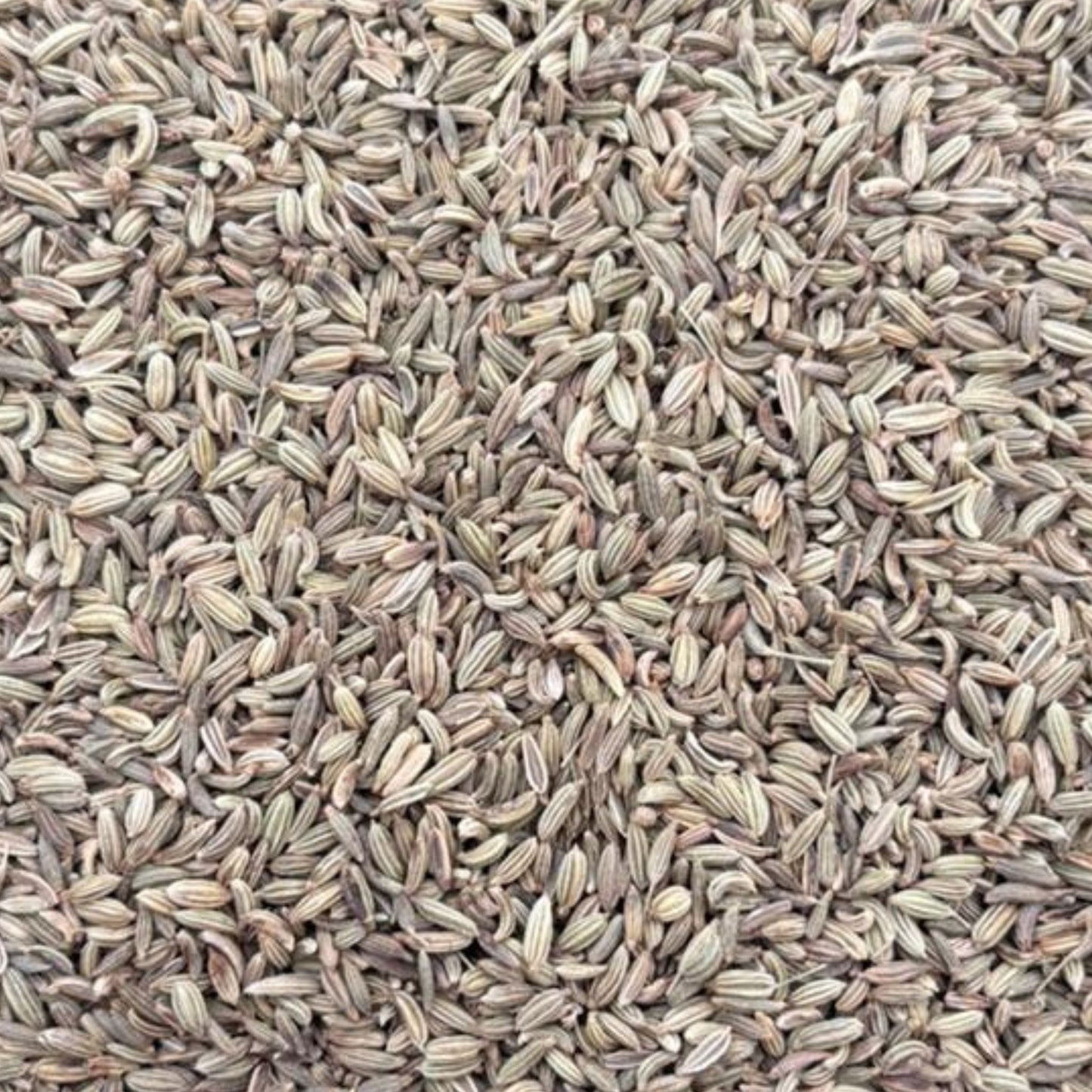 KCM Hyper, Fennel Seeds (Saunf) | Whole Indian Spice
