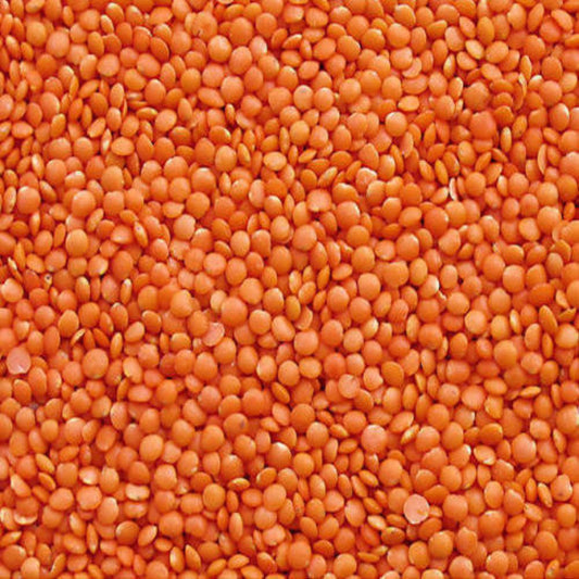 KCM Hyper Pulses: Masoor Dal ‚ whole red lentils cleaned and ready for cooking