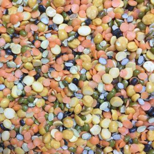 KCM Hyper™ Mix Dal – assorted Indian pulses cleaned and ready for cooking