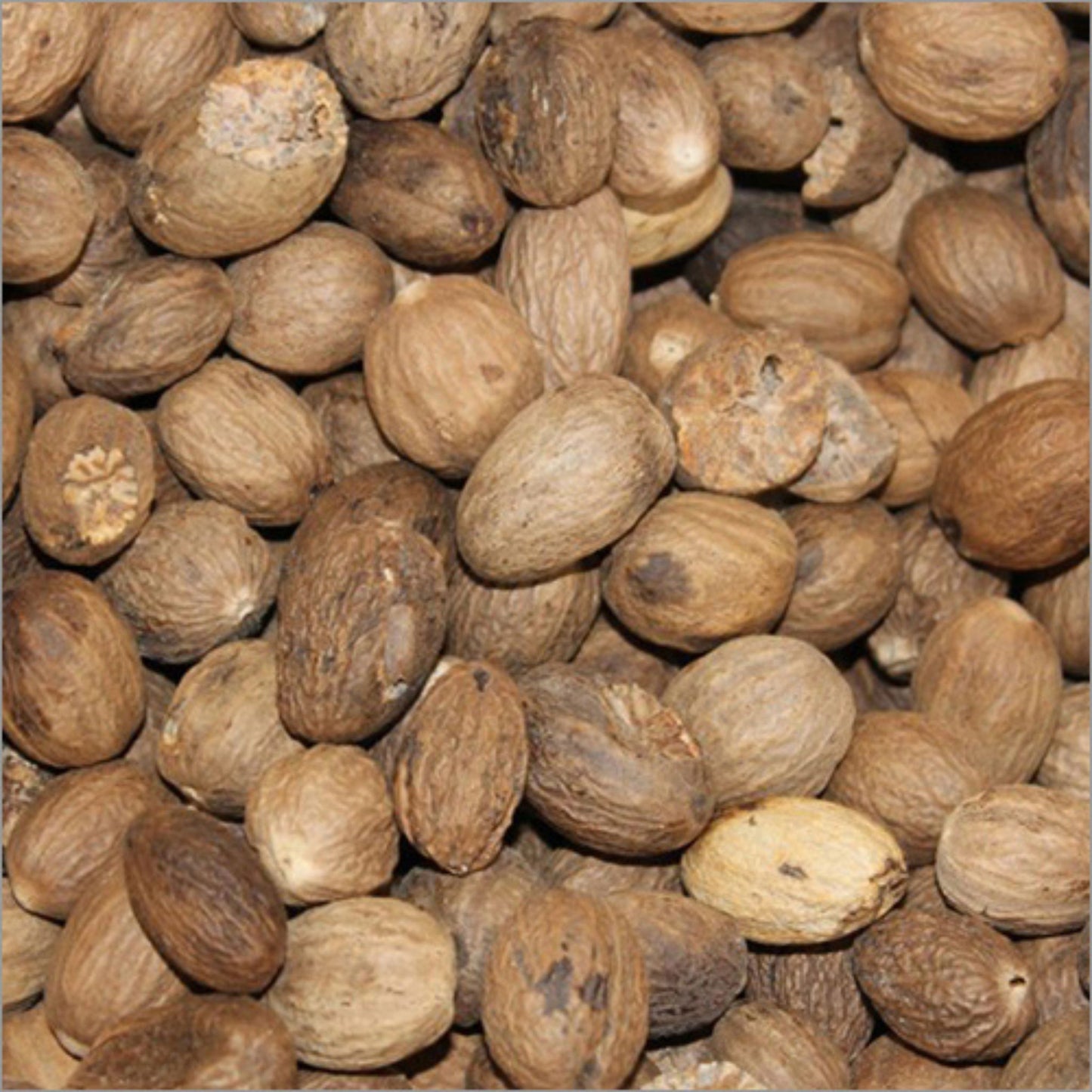 KCM Hyper, Nutmeg (Jaiphal) ‚¬€œ whole nutmeg kernels without shell
