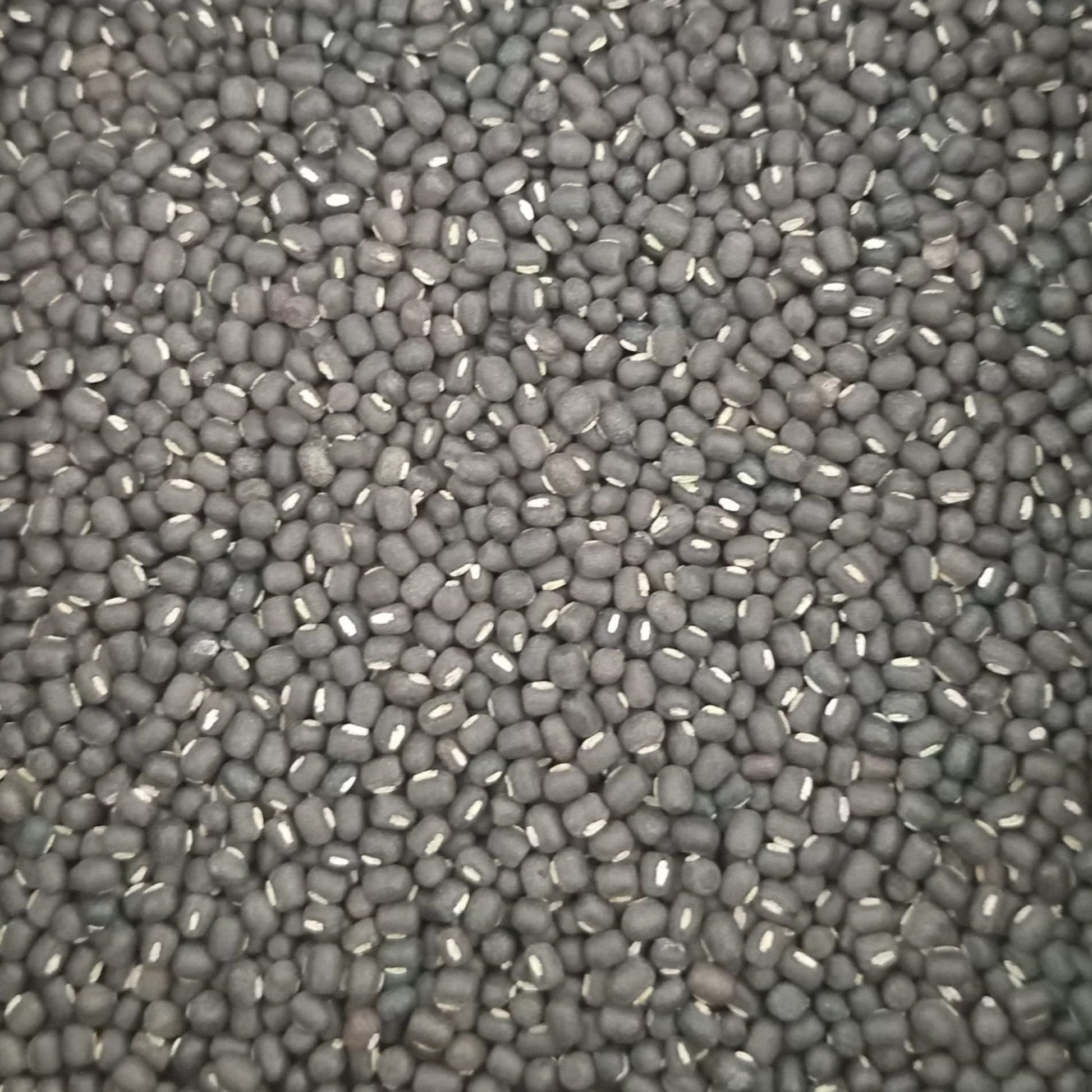 KCM Hyper Pulses, Whole Urad Dal (Black Gram), cleaned and unpolished black gram
